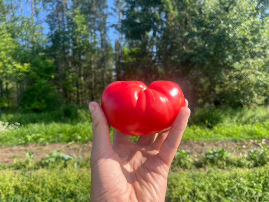 Mixed heirloom tomatoes (roughly 1#)