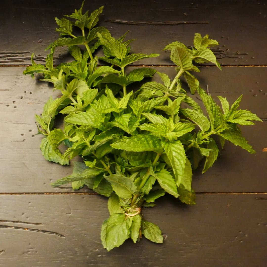 Mint (1 bunch)