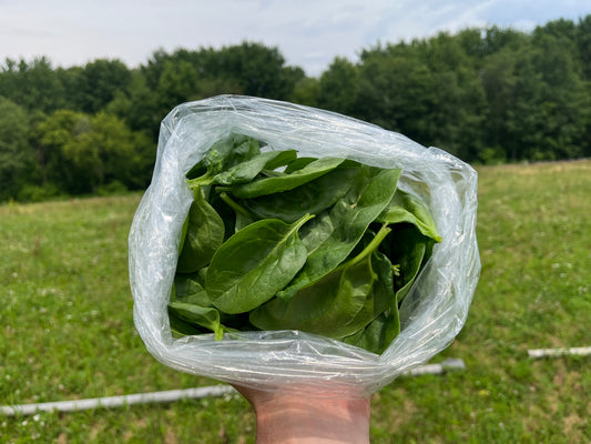 Spinach (8-oz bag)