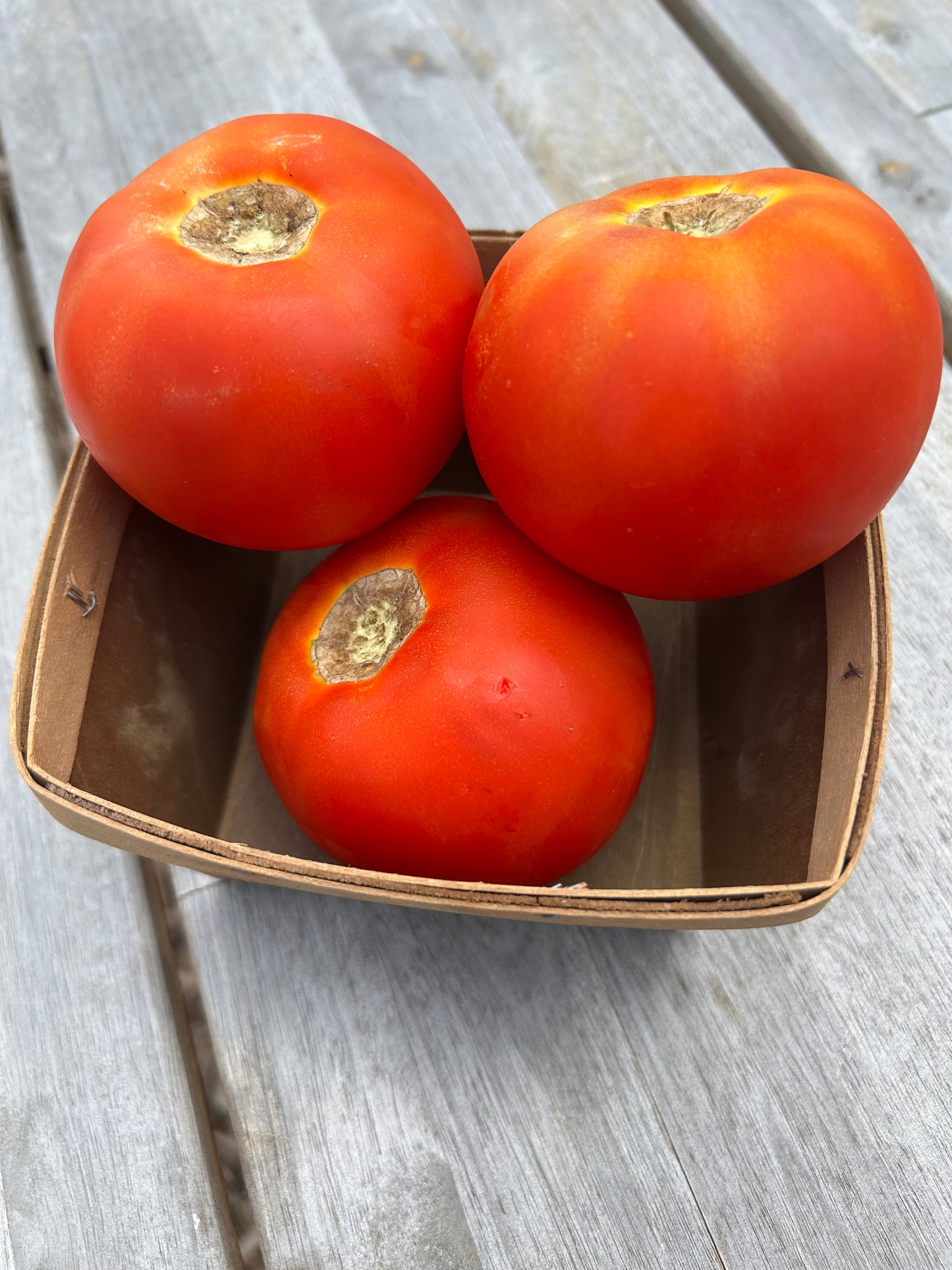 Slicer tomatoes (by the pound)