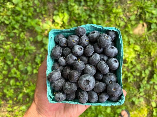 Blueberries (1 pint or flat, conventional)