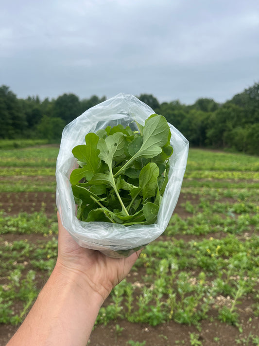 Arugula (1/4-pound)