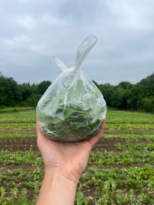Arugula (4-oz bag)