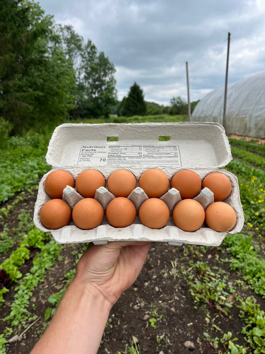 Pastured eggs