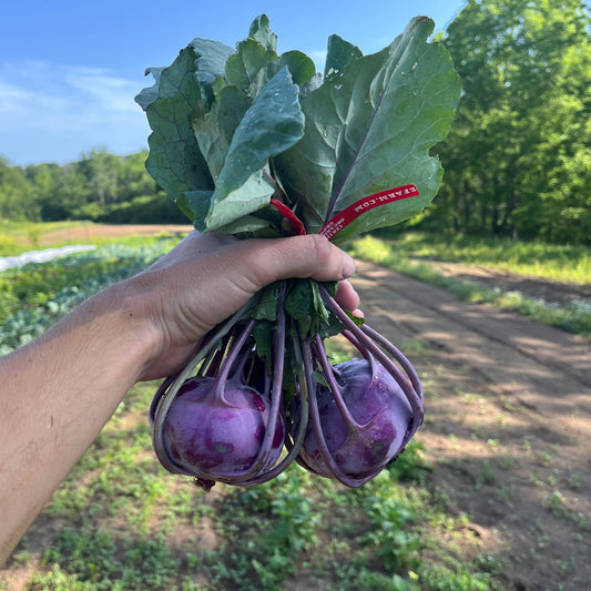 Baby purple kohlrabi (1 bunch)