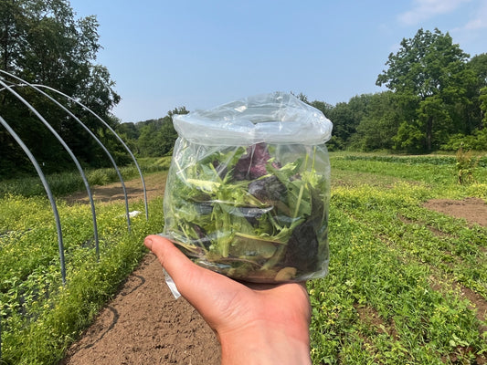 Spicy salad mix (.4# bag)