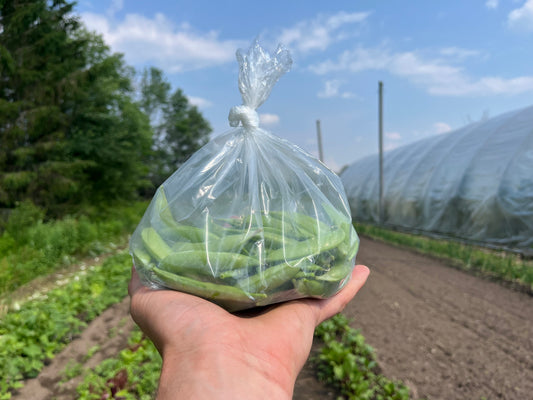 Sugar snap peas (.6# bag)