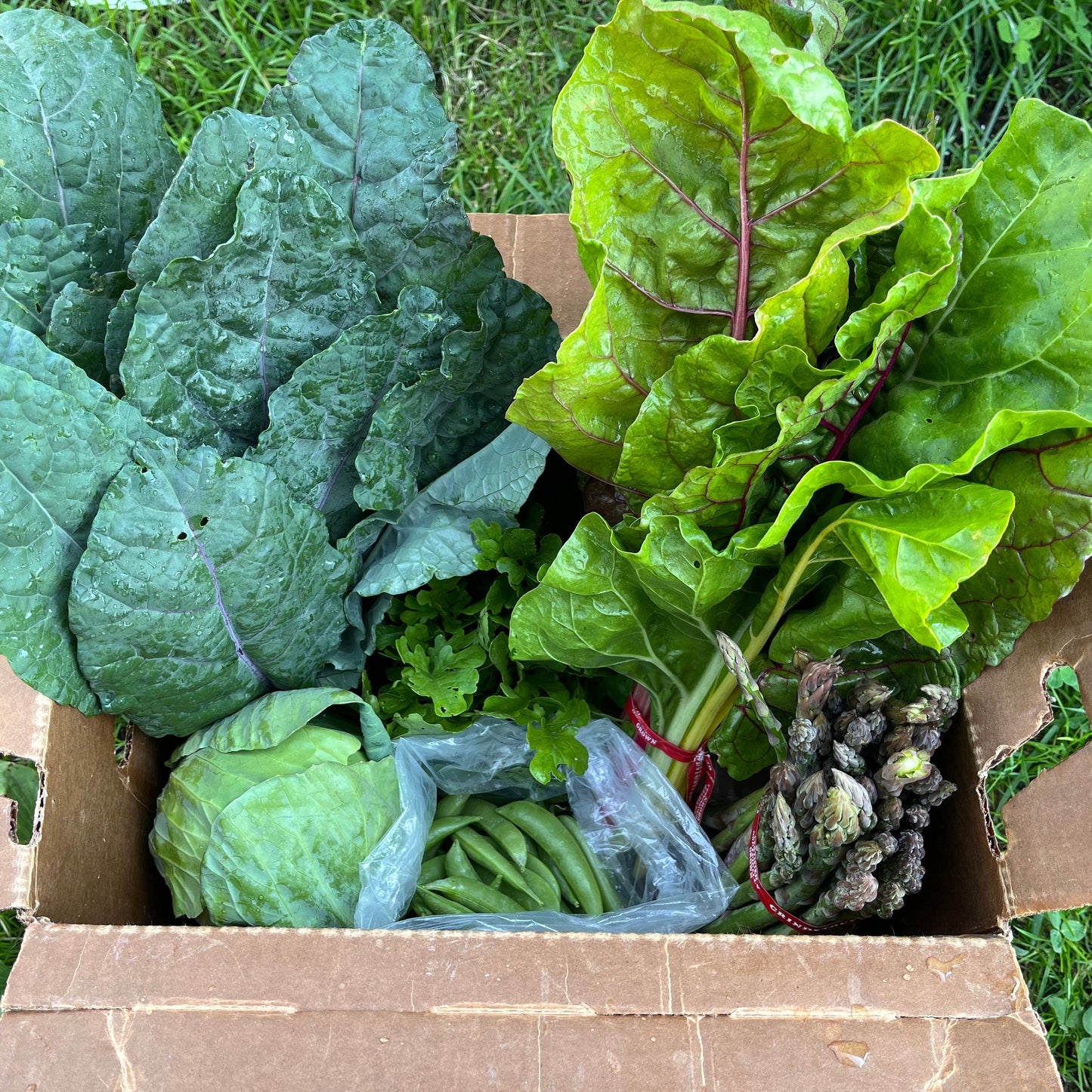 Farmer's Choice Weekly Box Subscription