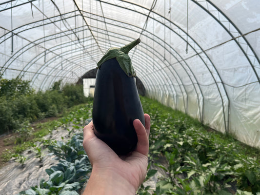Italian eggplant (roughly 1#)