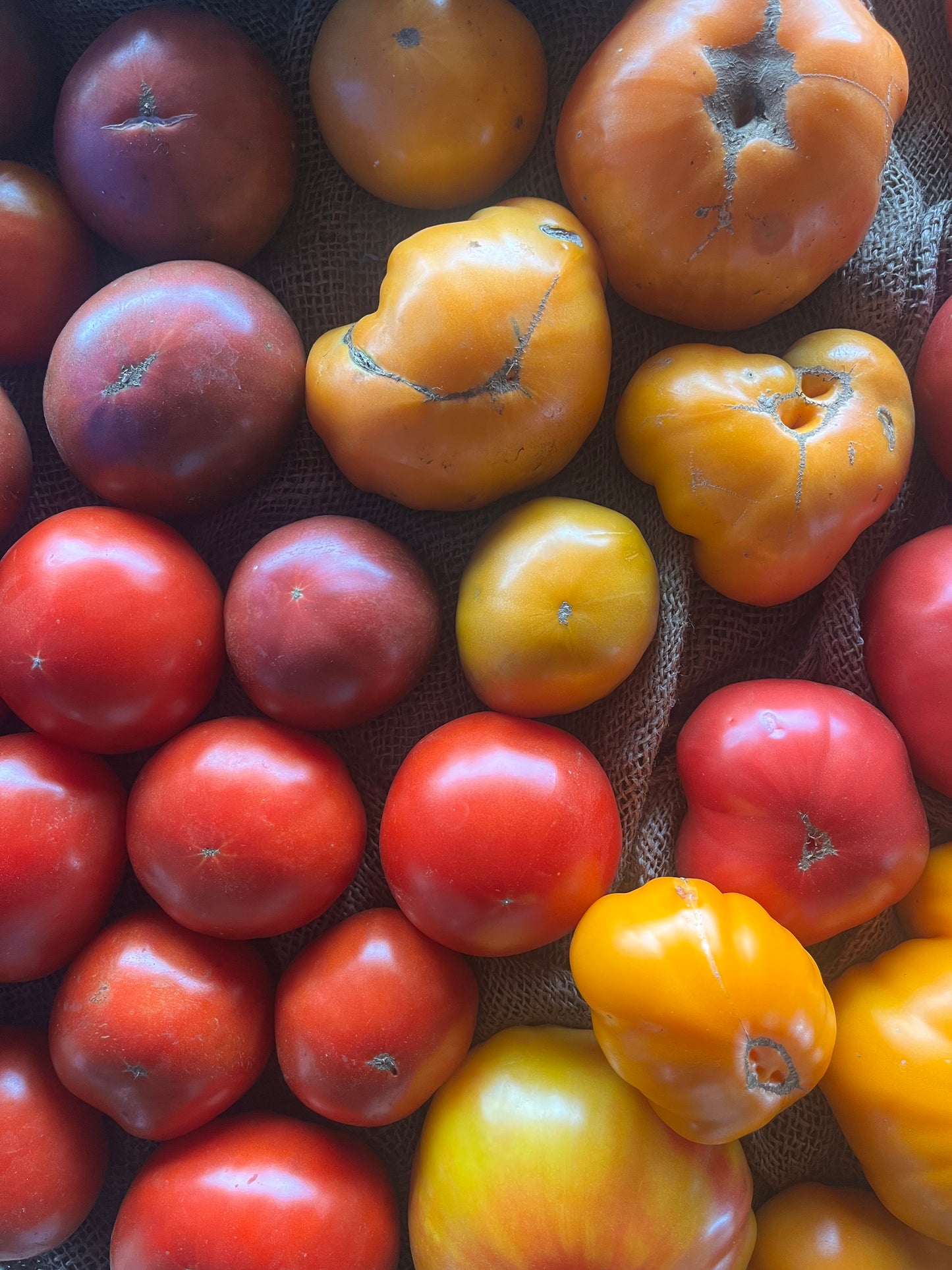 Mixed heirloom tomatoes (roughly 1#)