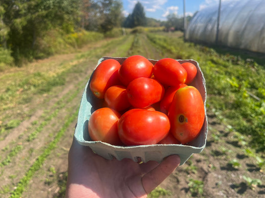 Roma tomatoes (1 quart)