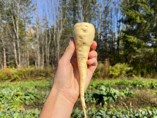 Parsnips (1 lb)