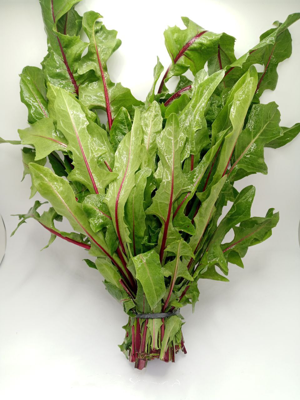 Dandelion Greens (1 bunch)