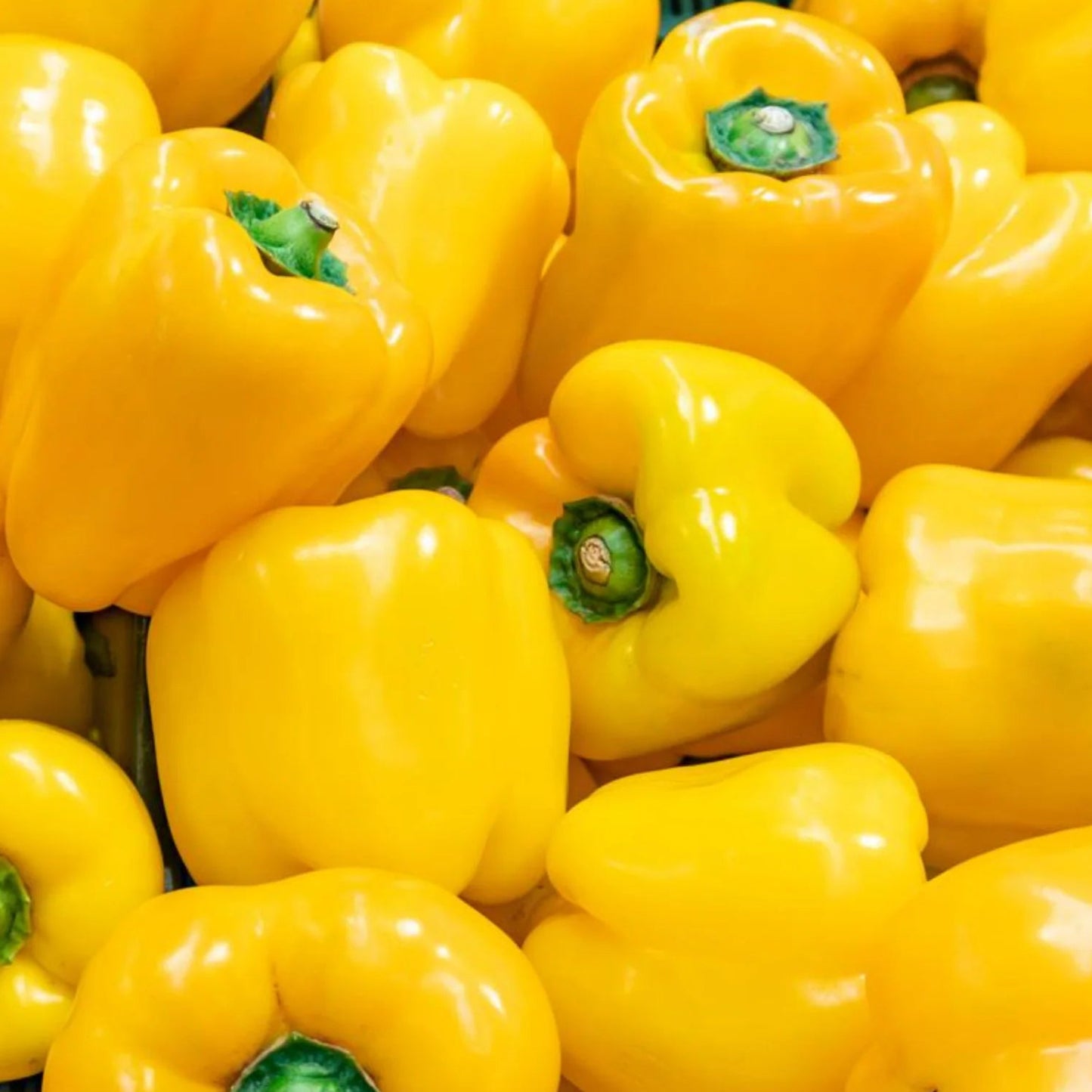Yellow bell pepper