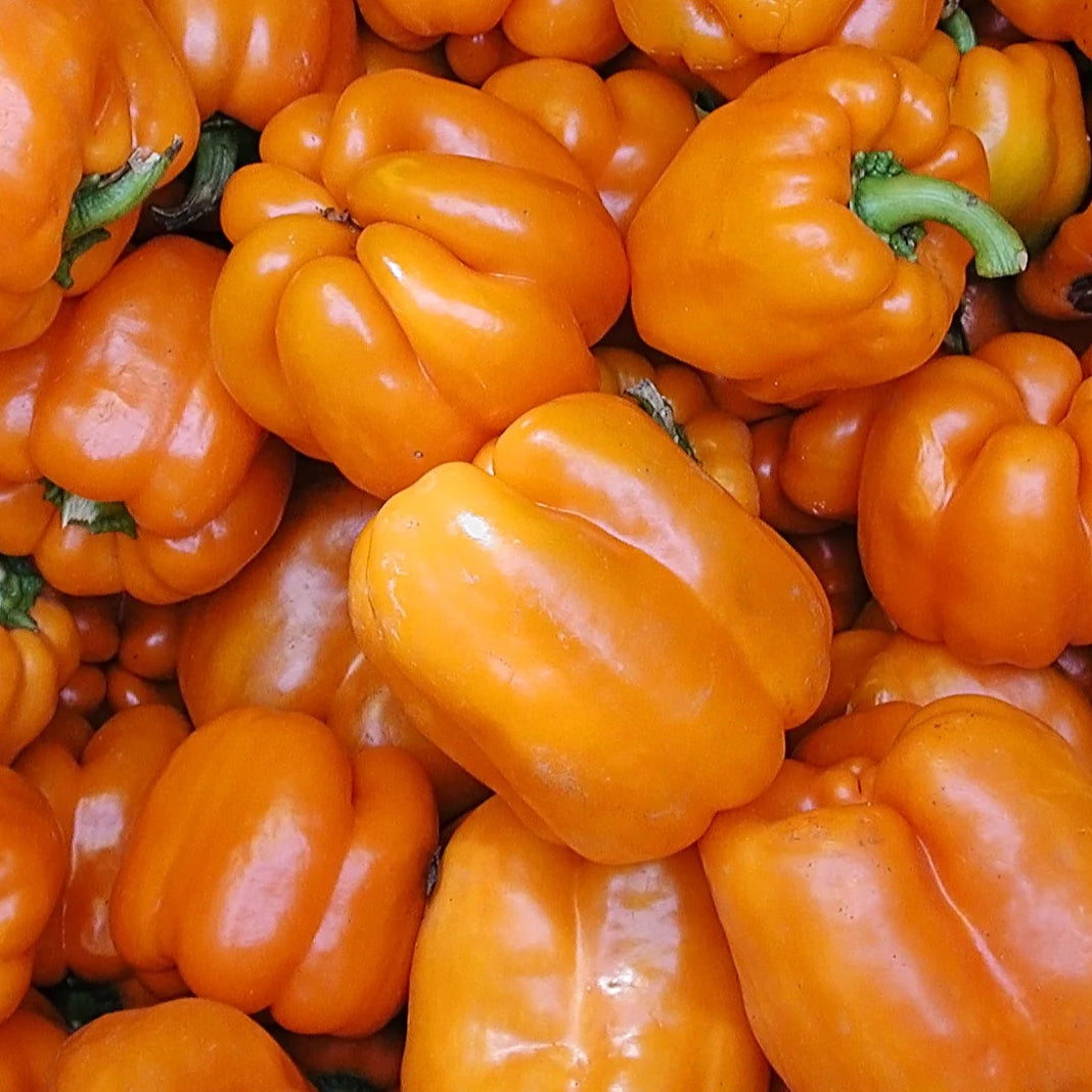 Orange bell pepper