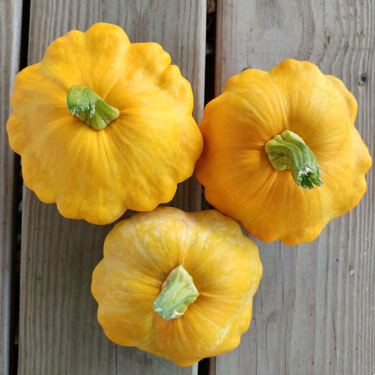 Patty pan squash (1 squash)