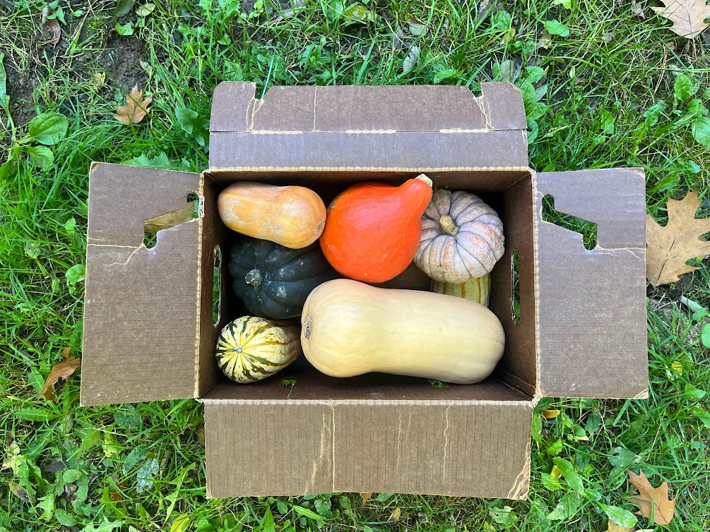 Winter Squash Variety Box