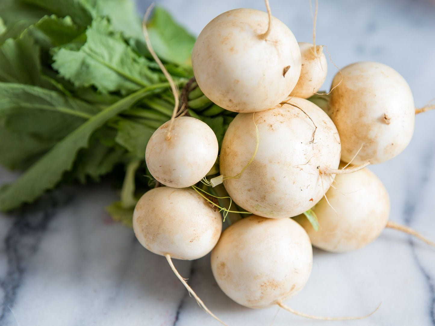 Turnips - per bunch